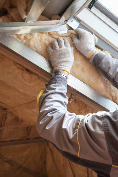 Best Cellulose Insulation  in Oakland, NE
