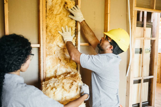 Best Wall Insulation Contractor  in Oakland, NE