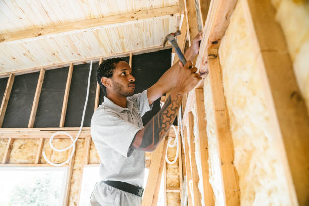 Best Attic Insulation Installation  in Oakland, NE