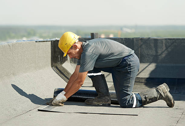 Best Professional Insulation Contractor  in Oakland, NE