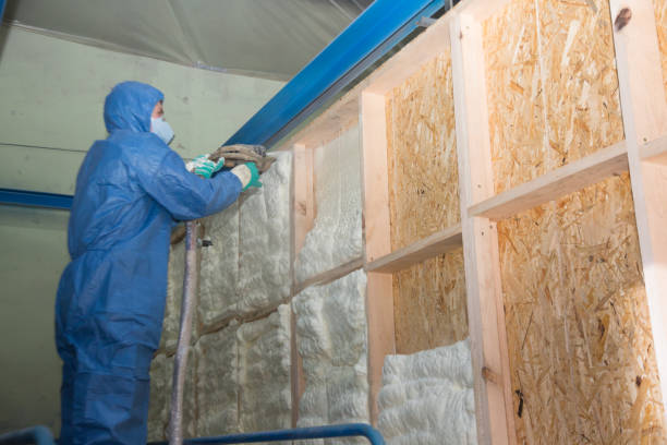 Best Insulation Removal  in Oakland, NE